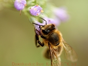 短信在线压测平台